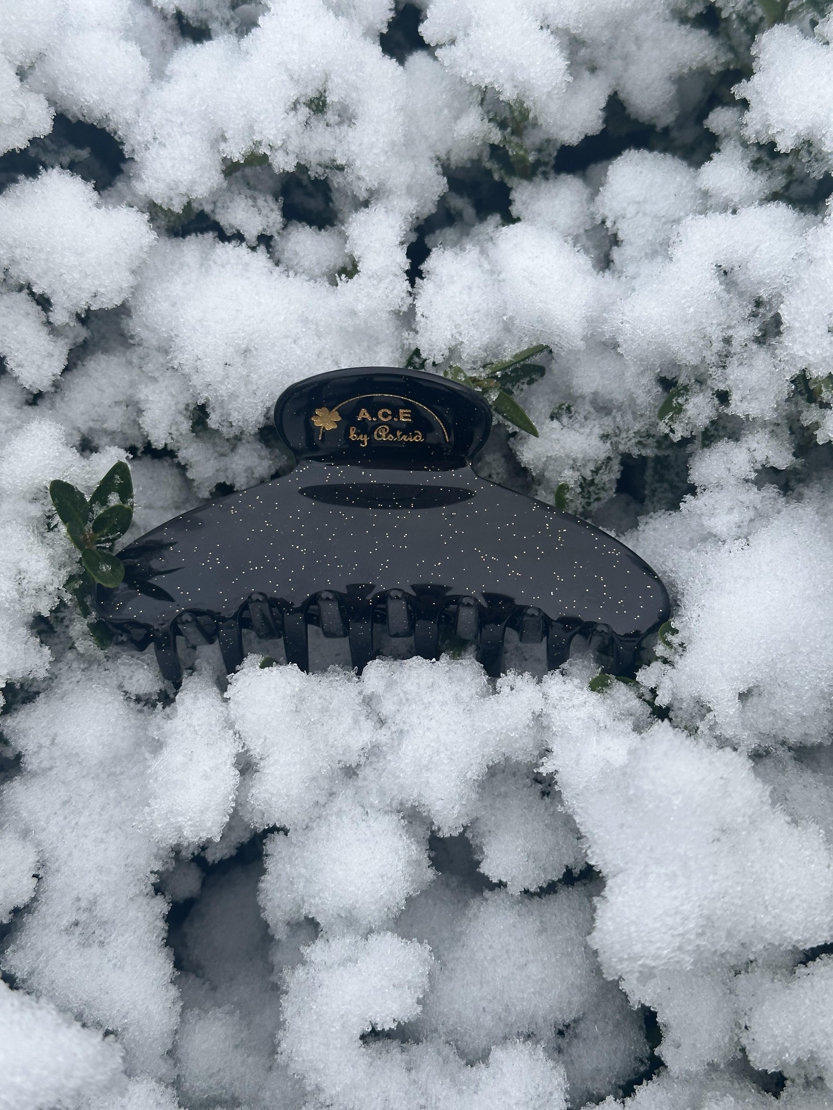 a close up of a feather on a black background